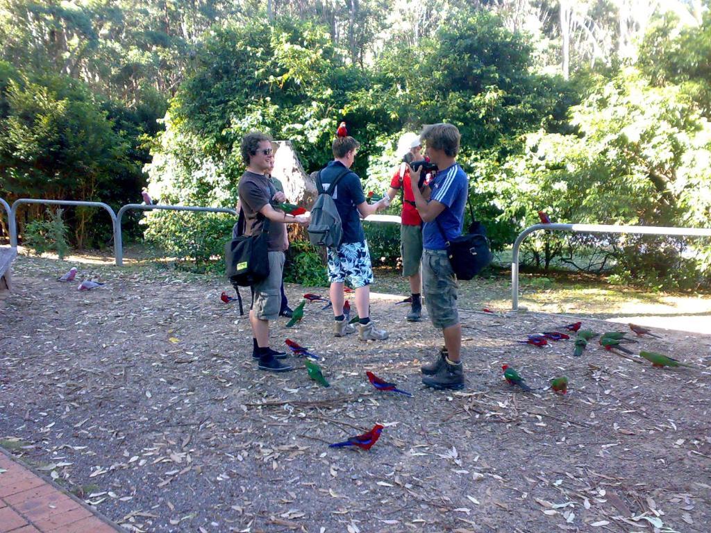 Batemans Bay Holiday Park & Hostel Exterior foto